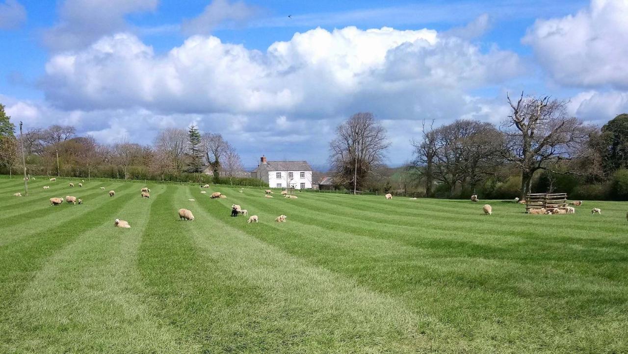 Lovaton Farmhouse Okehampton Exterior photo