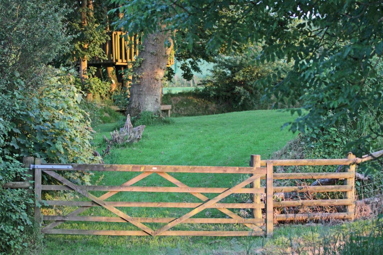 Lovaton Farmhouse Okehampton Exterior photo