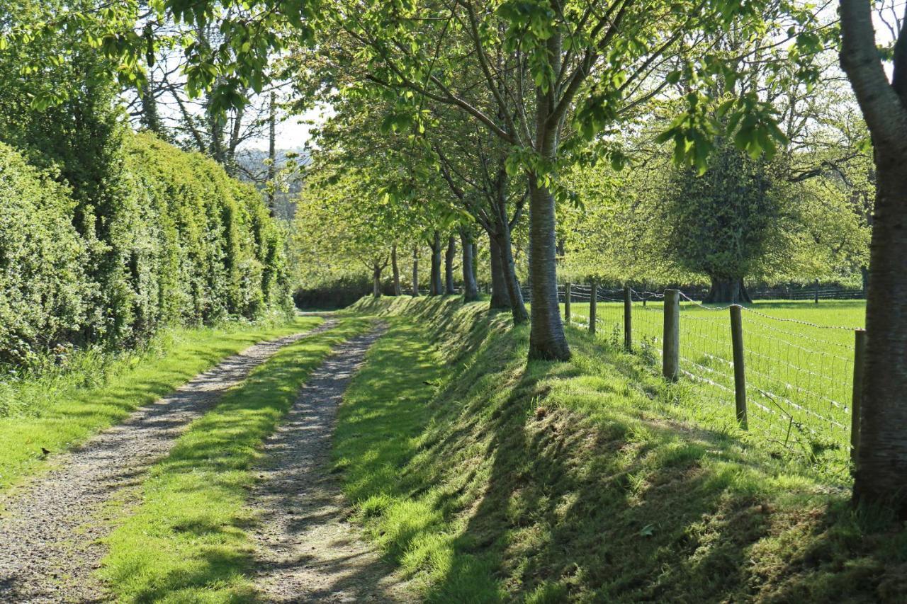 Lovaton Farmhouse Okehampton Exterior photo